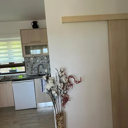 Apartments Tartuga * Rab Town