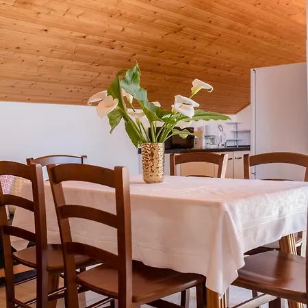 Tartuga Appartement *