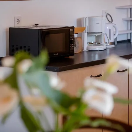 Apartments Tartuga * Rab Town
