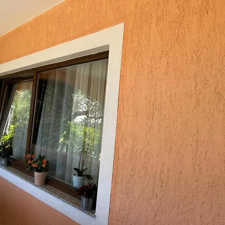 Appartamento Tartuga