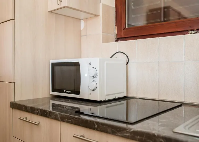Tartuga Apartman